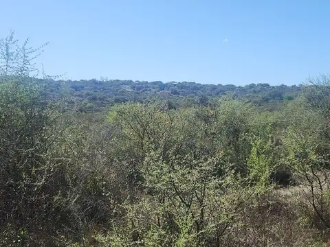 VENTA DE LOTE DE 708 M2 BIALET MASSE EXCEL. VISTAS