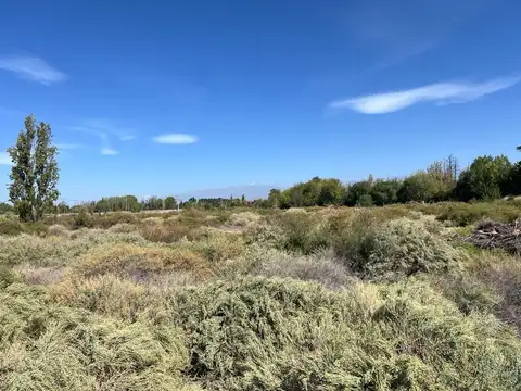 Terreno en Venta de 25000,0 m2