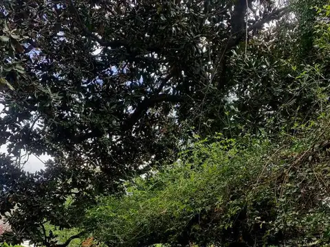 Casa en Alquiler Temporal 30 años