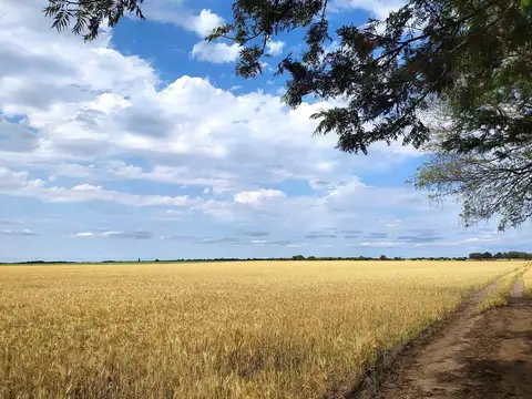 Zona Rural . Victor Manuel II