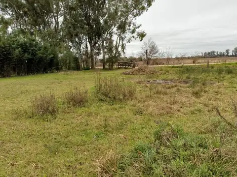 Terreno en Venta de 5600,0 m2