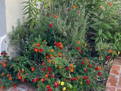 Casa 2 ambientes con 1 baño