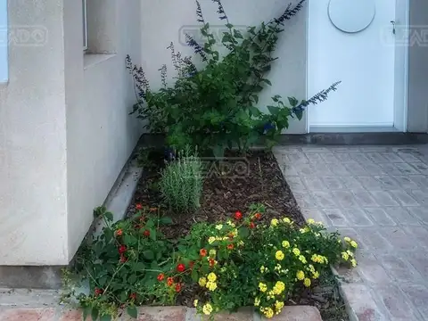 Casa en Alquiler de 1 dormitorio