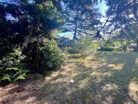 Casa en Alquiler Temporal en Pinares, USD 0
