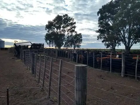 Casa en Venta en Cabildo, USD 1