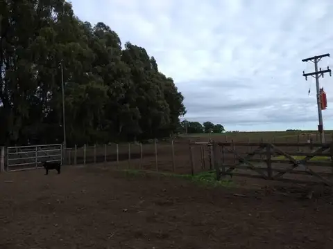 Casa Campo  en Venta en Cabildo, Bahia Blanca, Resto de la Provincia - BLA6152_LP573640_5