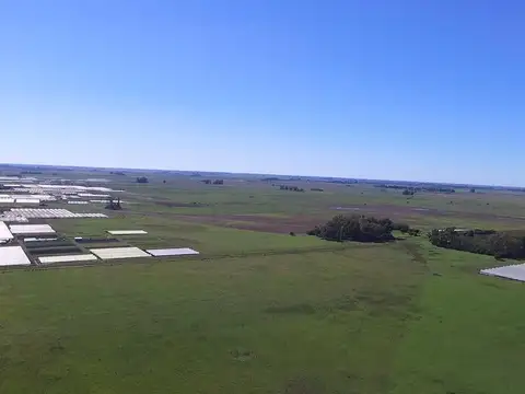 600 Has. Sobre Ruta 36