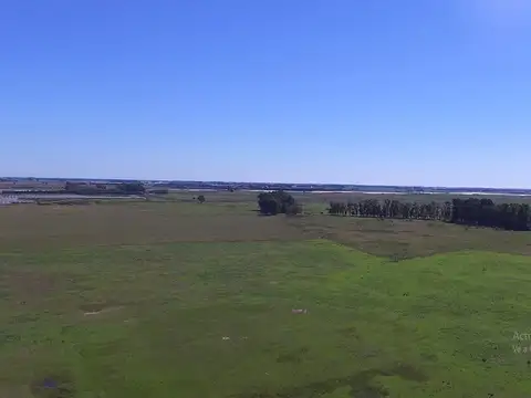 600 Has. Sobre Ruta 36