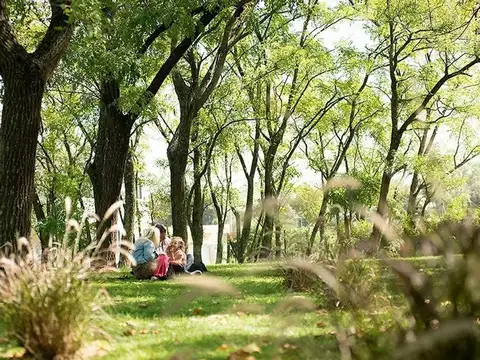 El Deslinde-san Roque