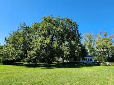 Terreno en Venta 100  mts Frente