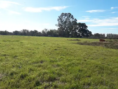 Terreno en Venta 79  mts Frente