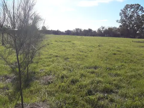 Terreno en Venta 126  mts Fondo