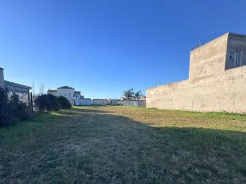 Rodriguez y la tradicion , Piso No definido