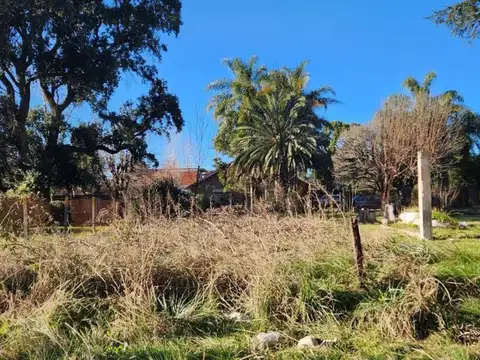 Las Araucarias e/ 5ta avenida y Los Sauces