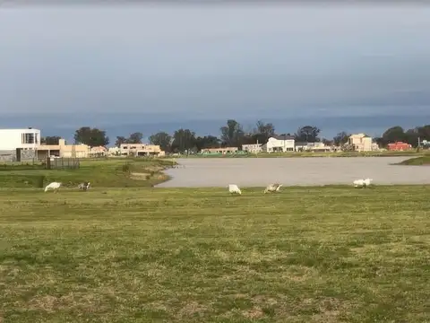 Terreno en Venta 20  mts Frente