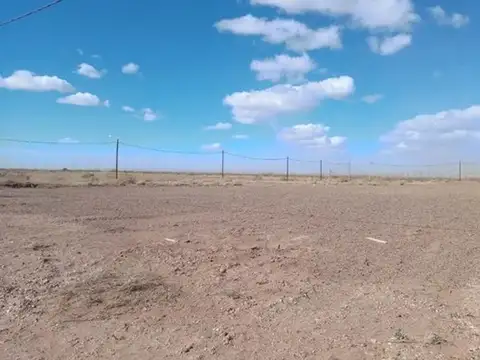 MANZANA 274 - LOTE 13 14 15 Y 16, AÑELO 100