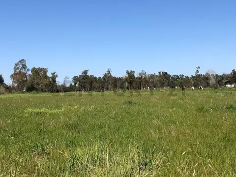 VENTA LOTE EN BARRIO CERRADO EL SOLAR- MARIANO ACOSTA