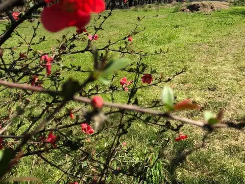 Terreno en Venta 45  mts Fondo