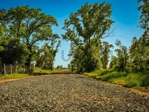 Las Dalias y Potosi , Piso 0