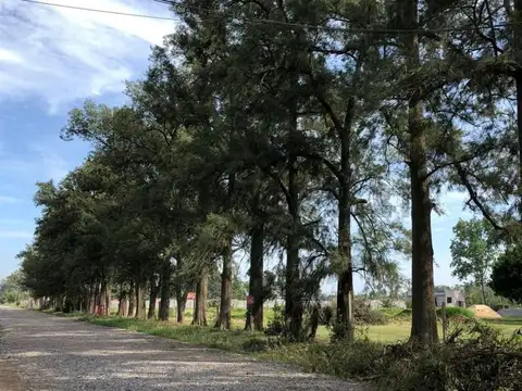 Terreno en Venta 16  mts Frente