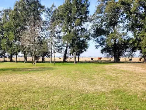 Campo en San Vicente. Son 742 hectáreas aptas desarrollos inmobiliarios