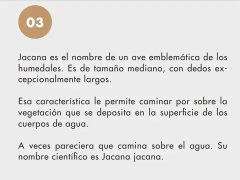 Departamento en Venta al Noroeste