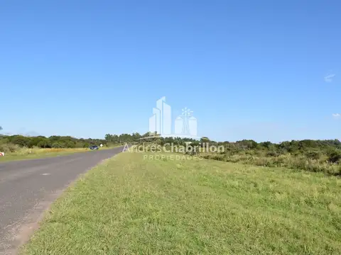 Terreno en Venta de 12354,0 m2