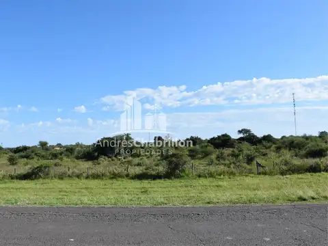 Terreno de 12354 m² en venta, San José de Feliciano