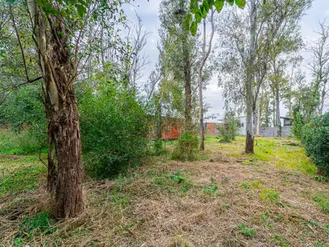 Terreno en Venta en Andino, USD 20.000