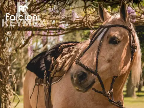 Terreno en Venta de 1520,0 m2