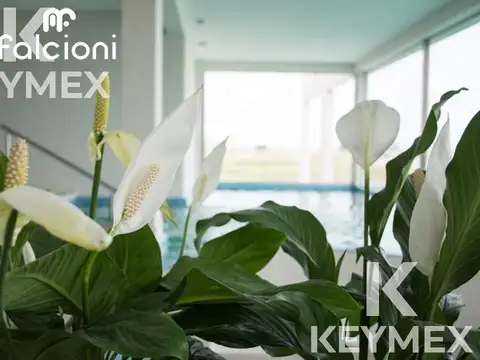 VENTA LOTE/TERRENO EL MIRADOR SPA TERMAL