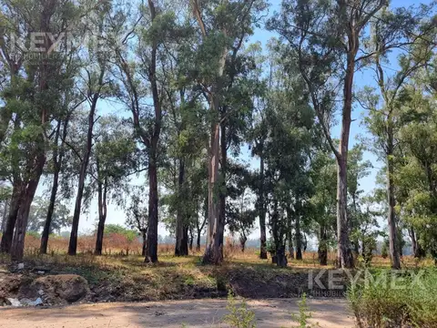 Terreno en Venta de 270,0 m2