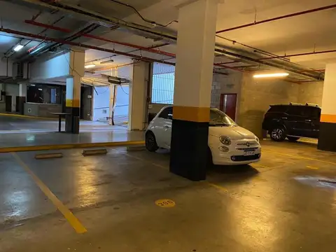 Rosario Vera Peñaloza  415