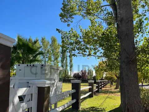 BERTANI SUR 1300, Piso 0