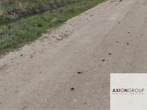 Ruta 36 - Poblet - Lote