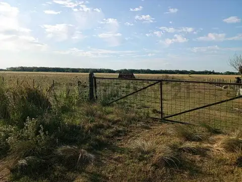 VENTA CAMPO AGRICOLA GANADERO 100 HA PUEBLO MUÑOZ SANTA FE