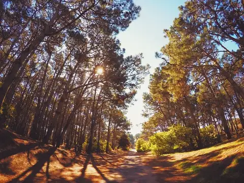 Venta de Lotes en Costa del Este con Escrituras de contado o financiado.