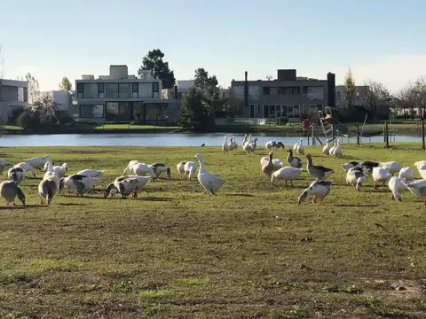 Autopista Acceso Oeste 100