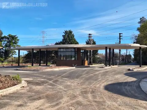 Tres Terrenos en La Estela