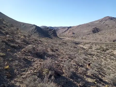 Campo de 16.500 has en Gorro Frigio