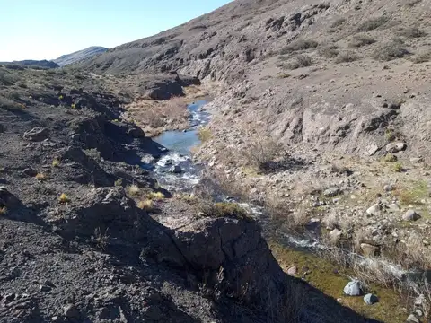 Campo en Venta de 16.500  ha