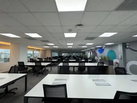 Oficina en Alquiler A Estrenar