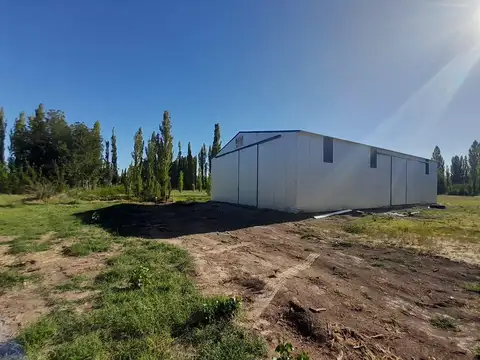 Galpones en alquiler sobre Ruta 151, Cipolletti.