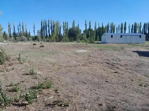 Galpon en Alquiler en Cipolletti, USD 5.000