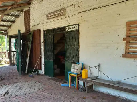 Los Flamencos entre Calle 42 y Avenida de LLuvia 100