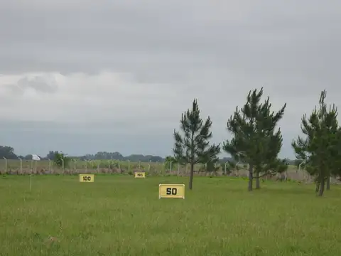 Terreno en Venta de 1998,0 m2