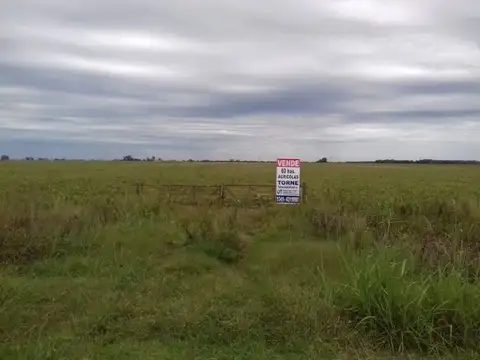 60 Ha agrícolas sobre pavimento en R10 Serodino