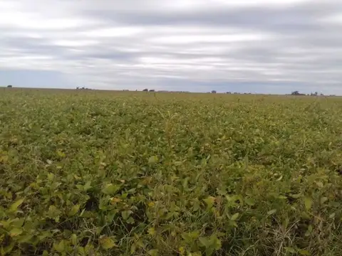 Campo en Venta con Alambrado