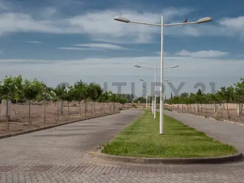 Terreno en Venta en Villa Nueva De Guaymallen, USD 38.000