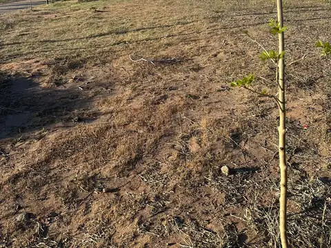 Lotes Ayres de Leon 100